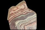 Polished Snakeskin Jasper Section ( lbs) - Western Australia #64787-2